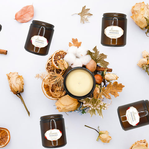 Winter Warmth Collection